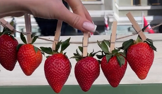 Flowers & Strawberry